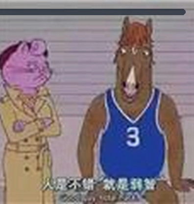 赵娜