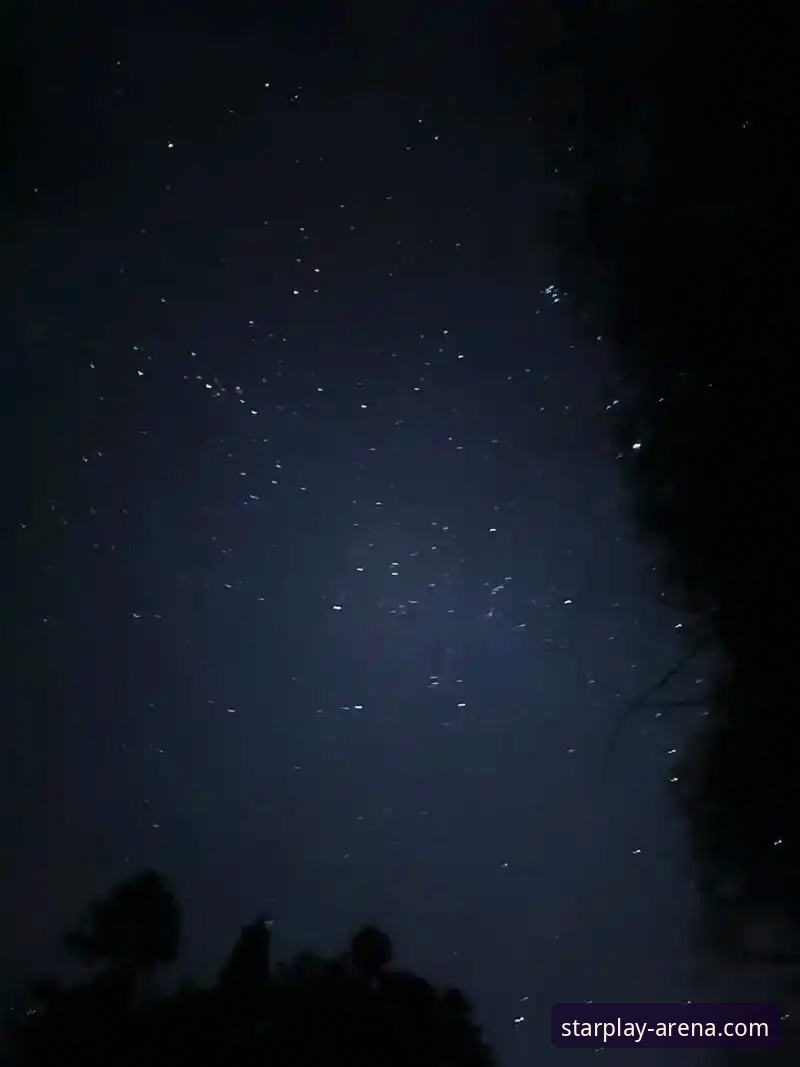 揭秘！星空竞技安装失败背后的真相，你没想到的关键因素在这里
